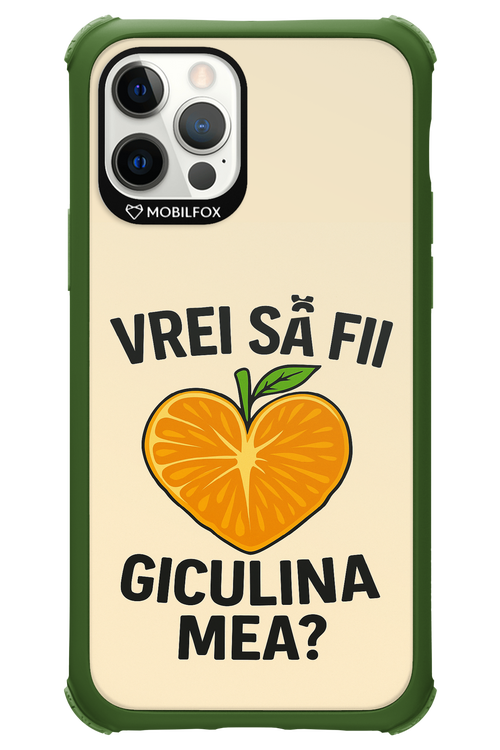 Design Clean 2.0 - Apple iPhone 12 Pro