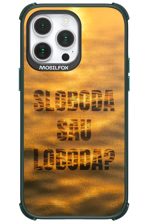 S or L - Apple iPhone 14 Pro Max
