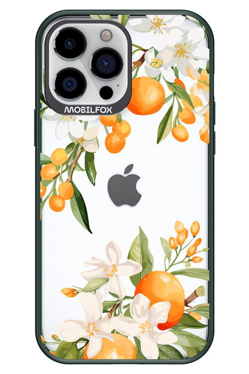 Amalfi Orange 2.0 - Apple iPhone 13 Pro Max
