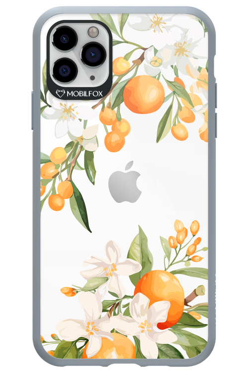 Amalfi Orange 2.0 - Apple iPhone 11 Pro Max