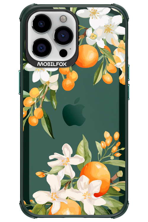 Amalfi Orange 2.0 - Apple iPhone 13 Pro Max