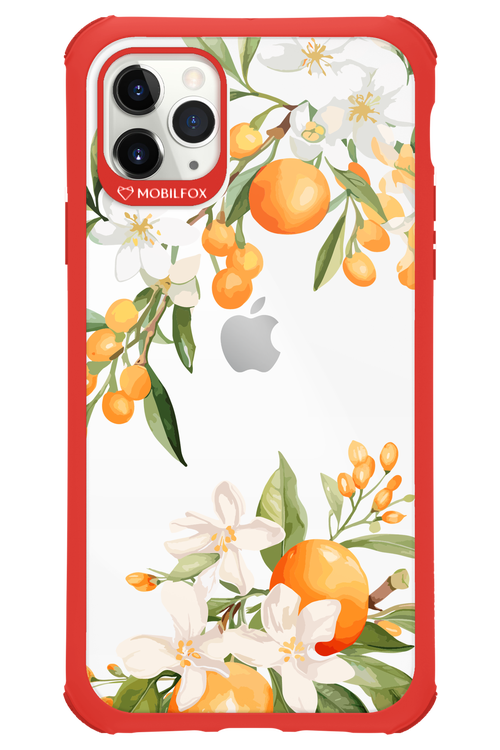 Amalfi Orange 2.0 - Apple iPhone 11 Pro Max