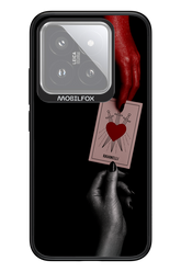 Ravanelli 2 - Xiaomi 14