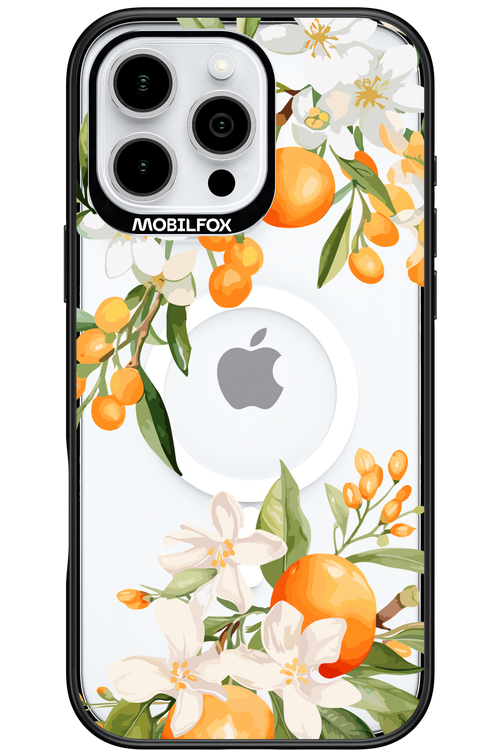 Amalfi Orange 2.0 - Apple iPhone 16 Pro Max