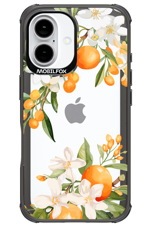 Amalfi Orange 2.0 - Apple iPhone 16