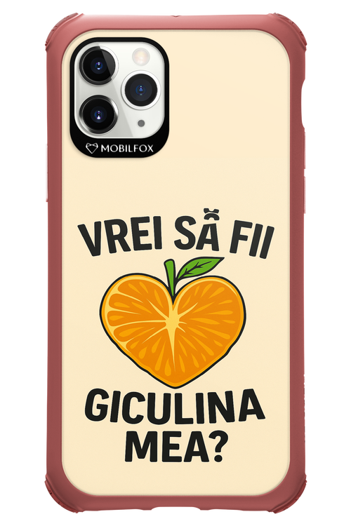 Design Clean 2.0 - Apple iPhone 11 Pro