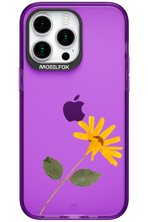Pressed Flower - Apple iPhone 15 Pro Max