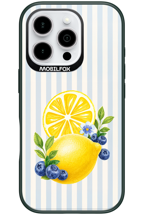 Fresh Flash 2.0 - Apple iPhone 16 Pro
