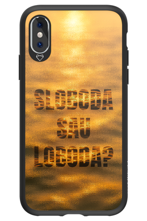 S or L - Apple iPhone X