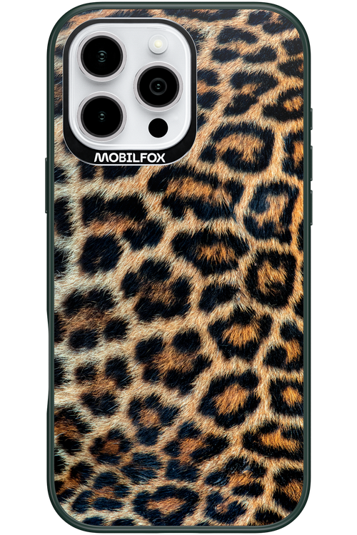 Leopard 2.0 - Apple iPhone 16 Pro Max
