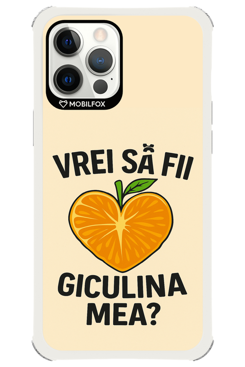 Design Clean 2.0 - Apple iPhone 12 Pro Max