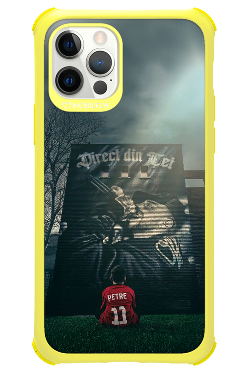 Direct Din Tei Artwork 2.0 - Apple iPhone 12 Pro