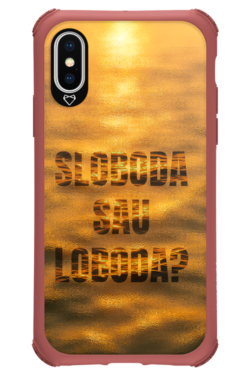 S or L - Apple iPhone X