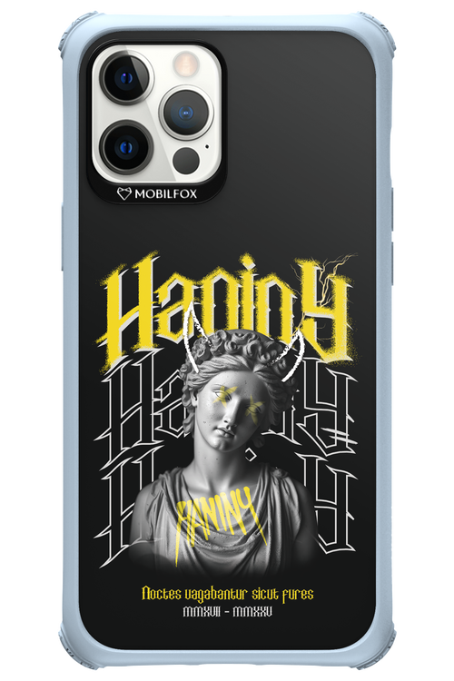 Haniny Icon (black) - Apple iPhone 12 Pro Max