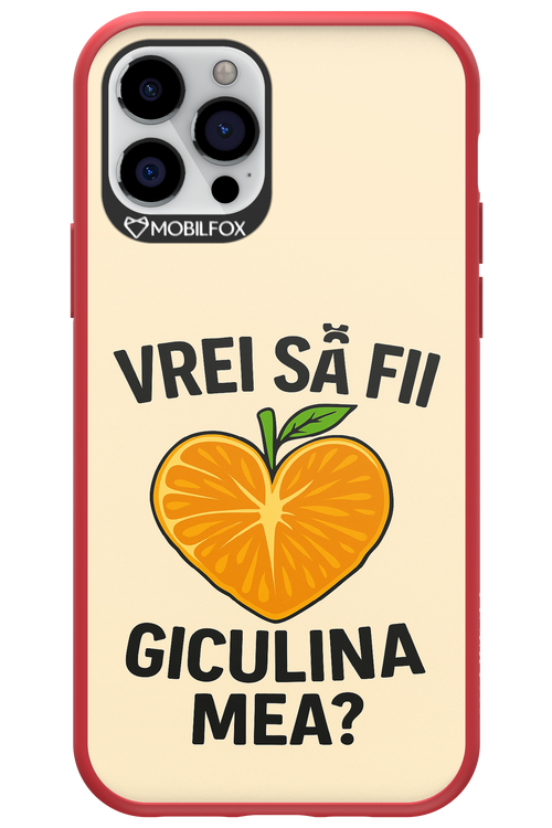 Design Clean 2.0 - Apple iPhone 12 Pro