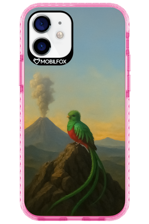 Birdy 2.0 - Apple iPhone 12