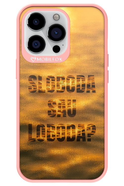 S or L - Apple iPhone 13 Pro