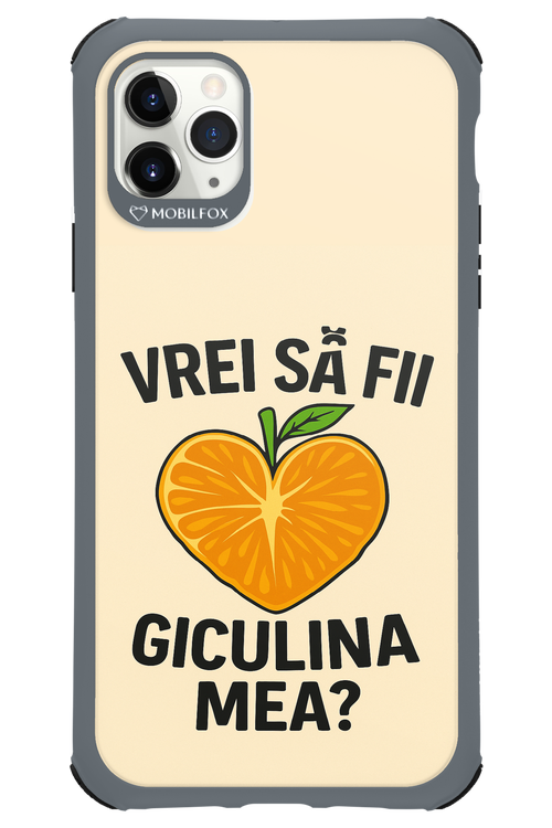 Design Clean 2.0 - Apple iPhone 11 Pro Max