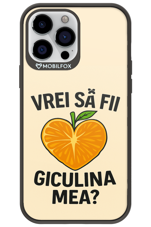 Design Clean 2.0 - Apple iPhone 13 Pro Max