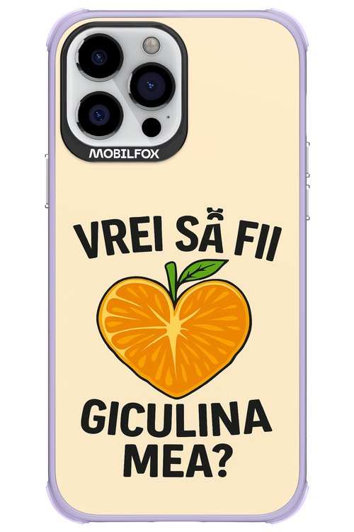 Design Clean 2.0 - Apple iPhone 13 Pro Max