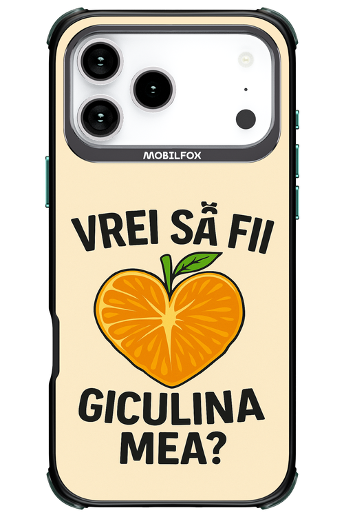 Design Clean 2.0 - Apple iPhone 17 Pro Max