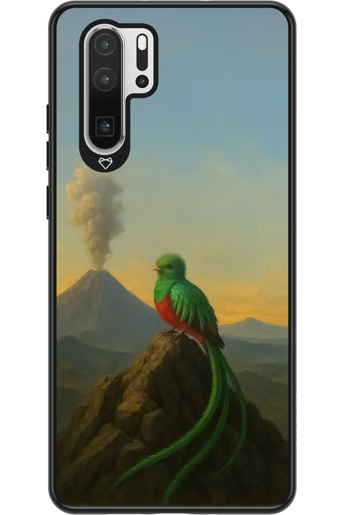 Birdy 2.0 - Huawei P30 Pro