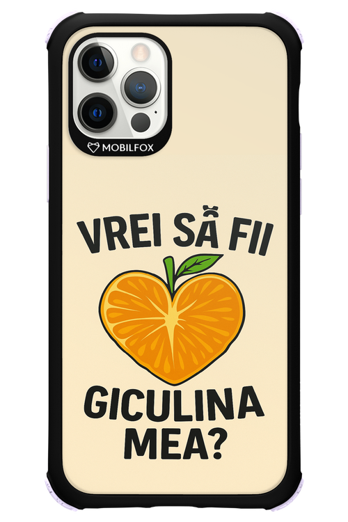 Design Clean 2.0 - Apple iPhone 12 Pro