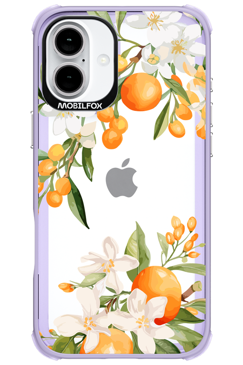 Amalfi Orange 2.0 - Apple iPhone 16 Plus
