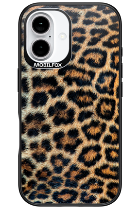 Leopard 2.0 - Apple iPhone 16