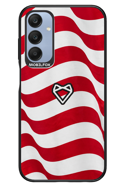 USA 2.0 - Samsung A25