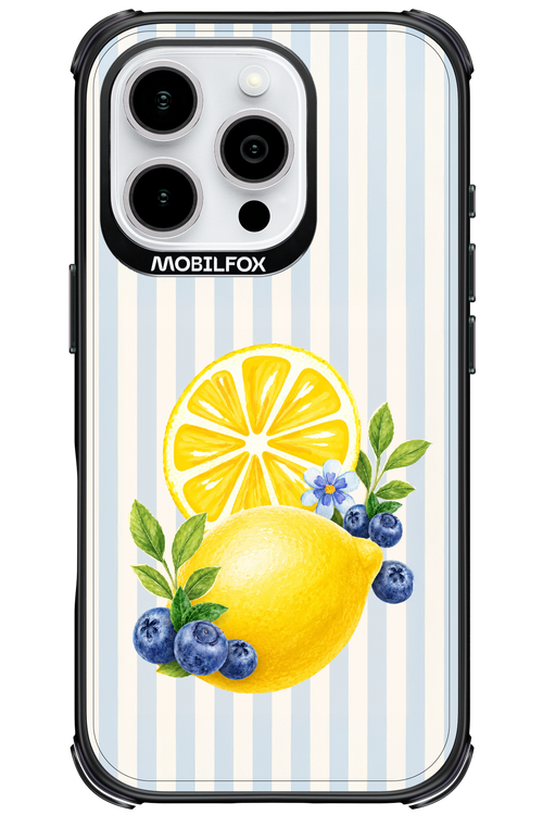 Fresh Flash 2.0 - Apple iPhone 16 Pro
