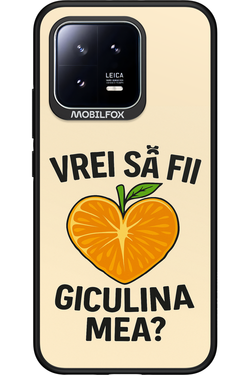 Design Clean 2.0 - Xiaomi 13