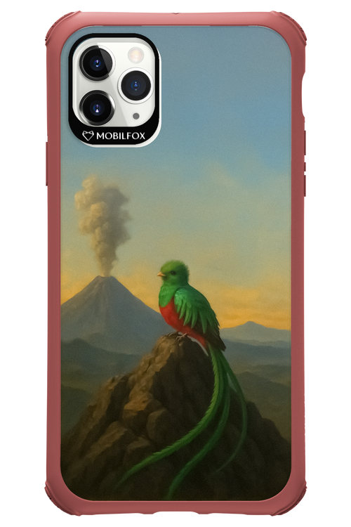 Birdy 2.0 - Apple iPhone 11 Pro Max