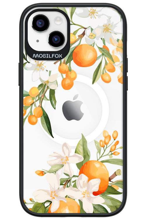 Amalfi Orange 2.0 - Apple iPhone 14 Plus