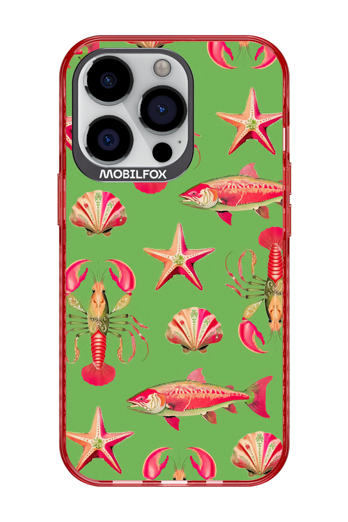 Sea Stars - Apple iPhone 13 Pro