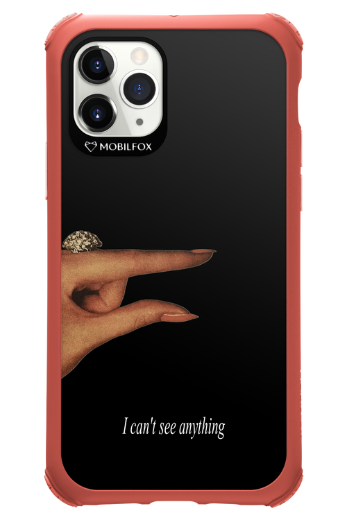 I can't see anything 2.0 - Apple iPhone 11 Pro
