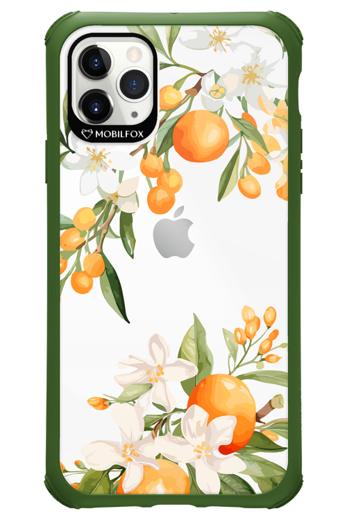 Amalfi Orange 2.0 - Apple iPhone 11 Pro Max