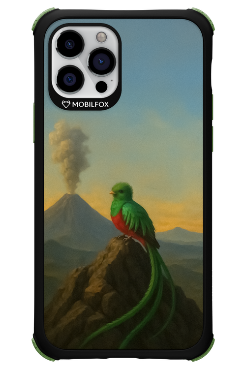 Birdy 2.0 - Apple iPhone 12 Pro