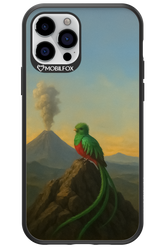 Birdy 2.0 - Apple iPhone 12 Pro