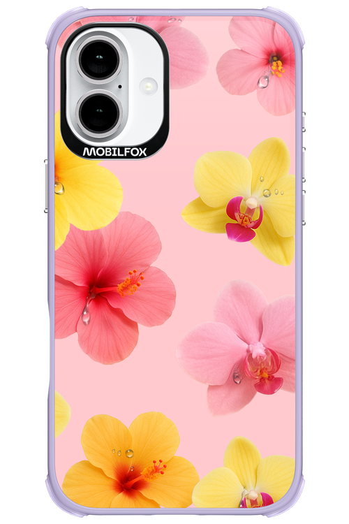Sunset Flowers - Apple iPhone 16 Plus