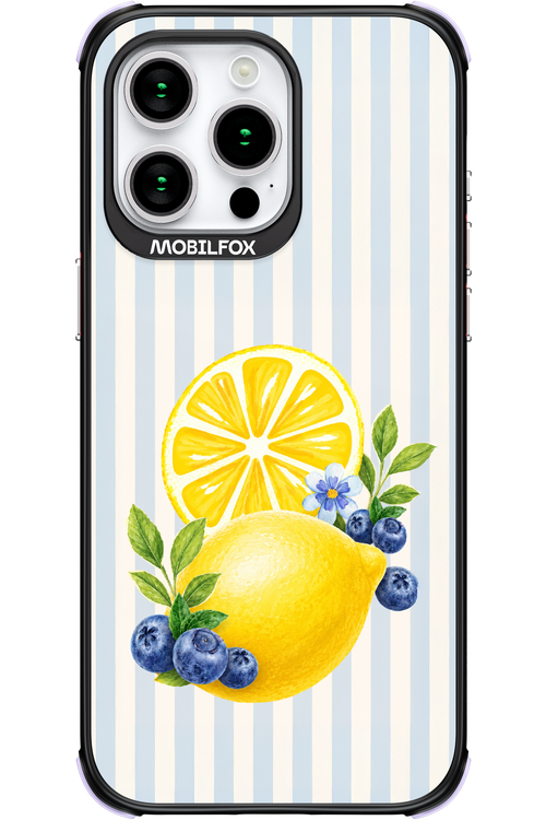 Fresh Flash 2.0 - Apple iPhone 15 Pro Max