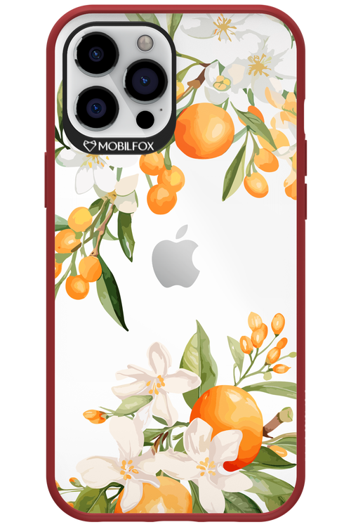 Amalfi Orange 2.0 - Apple iPhone 12 Pro Max