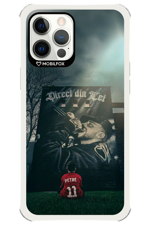Direct Din Tei Artwork 2.0 - Apple iPhone 12 Pro Max