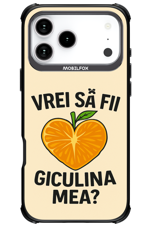 Design Clean 2.0 - Apple iPhone 17 Pro Max