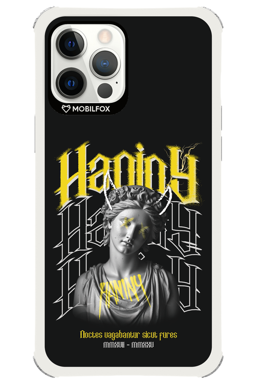 Haniny Icon (black) - Apple iPhone 12 Pro Max