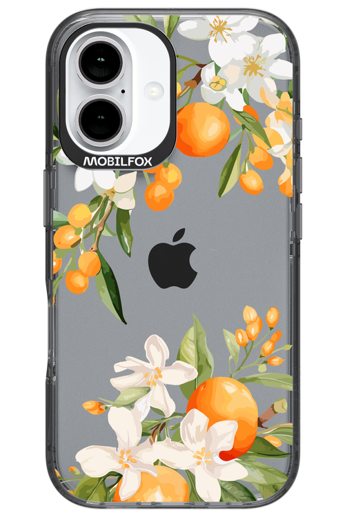 Amalfi Orange 2.0 - Apple iPhone 16