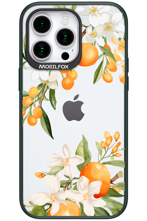 Amalfi Orange 2.0 - Apple iPhone 15 Pro Max