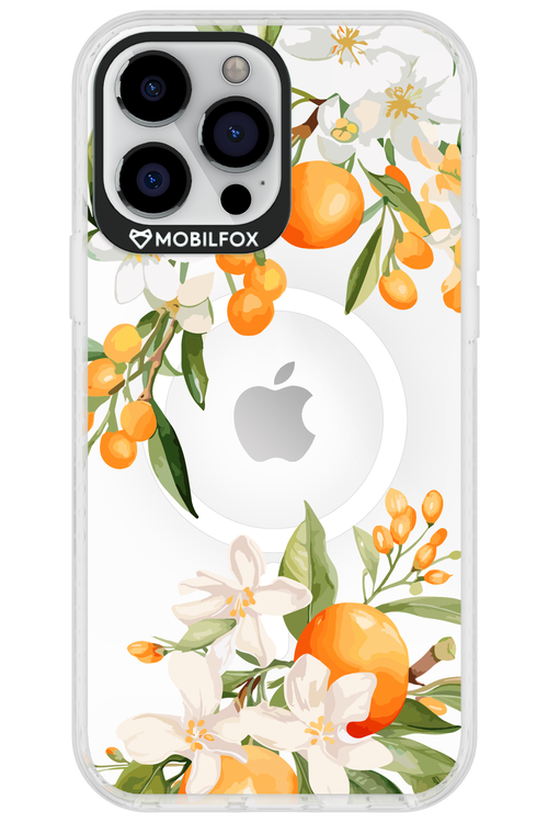 Amalfi Orange 2.0 - Apple iPhone 13 Pro Max