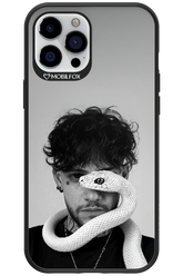 SNAKE (RAVA) 2.0 - Apple iPhone 12 Pro Max