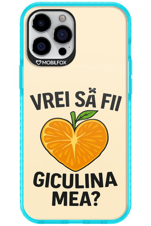 Design Clean 2.0 - Apple iPhone 12 Pro Max